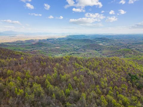 Tiny photo for 0 Wares Gap Road, Monroe, VA 24574 (MLS # 366008)
