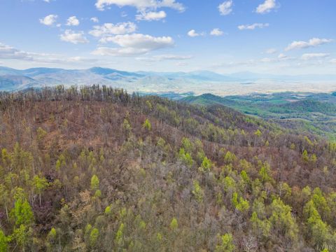 Tiny photo for 0 Wares Gap Road, Monroe, VA 24574 (MLS # 366008)