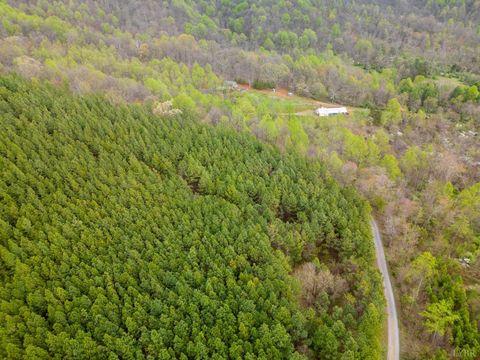 Tiny photo for 0 Wares Gap Road, Monroe, VA 24574 (MLS # 366008)