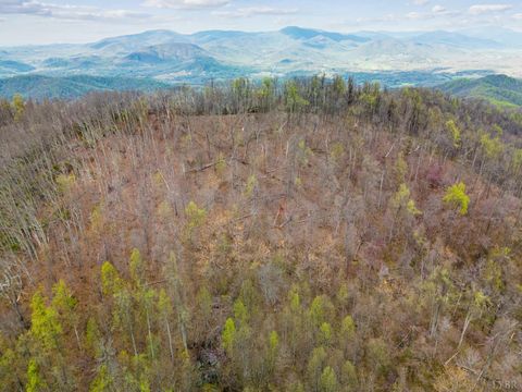 Tiny photo for 0 Wares Gap Road, Monroe, VA 24574 (MLS # 366008)