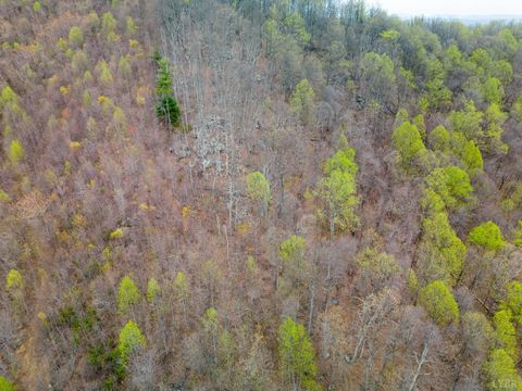 Tiny photo for 0 Wares Gap Road, Monroe, VA 24574 (MLS # 366008)