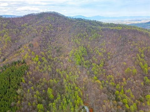 Tiny photo for 0 Wares Gap Road, Monroe, VA 24574 (MLS # 366008)