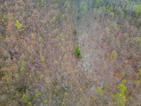 Tiny photo for 0 Wares Gap Road, Monroe, VA 24574 (MLS # 366008)