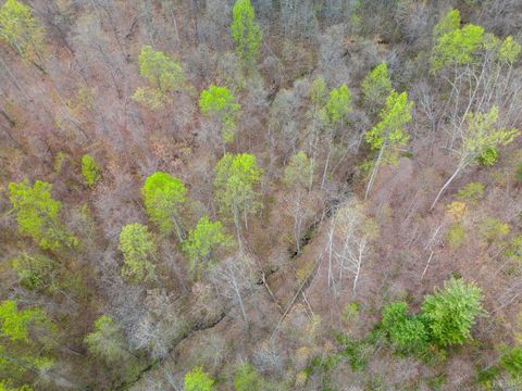 Tiny photo for 0 Wares Gap Road, Monroe, VA 24574 (MLS # 366008)
