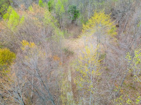 Tiny photo for 0 Wares Gap Road, Monroe, VA 24574 (MLS # 366008)