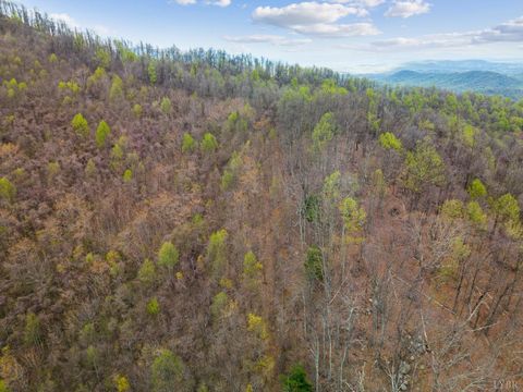 Tiny photo for 0 Wares Gap Road, Monroe, VA 24574 (MLS # 366008)