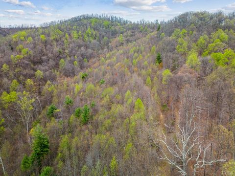 Tiny photo for 0 Wares Gap Road, Monroe, VA 24574 (MLS # 366008)