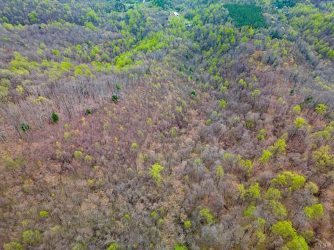 Tiny photo for 0 Wares Gap Road, Monroe, VA 24574 (MLS # 366008)