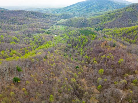 Tiny photo for 0 Wares Gap Road, Monroe, VA 24574 (MLS # 366008)