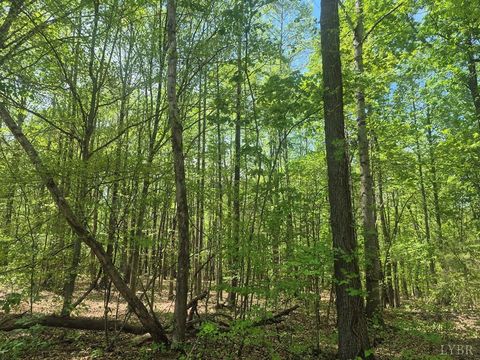 Tiny photo for 0 Greenfield Drive, Gladstone, VA 24553 (MLS # 365919)