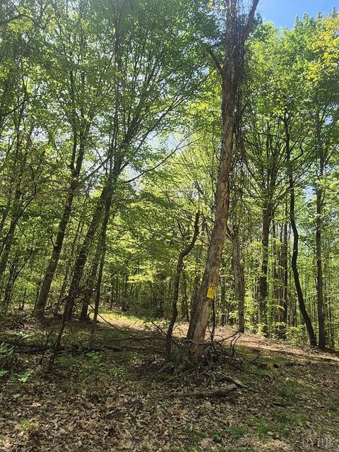 Tiny photo for 0 Greenfield Drive, Gladstone, VA 24553 (MLS # 365919)