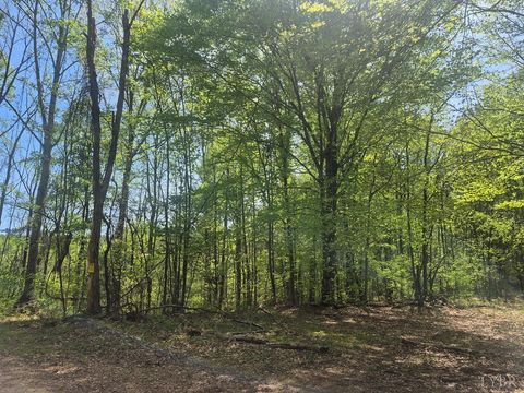 Photo of 0 Greenfield Drive, Gladstone, VA 24553 (MLS # 365919)