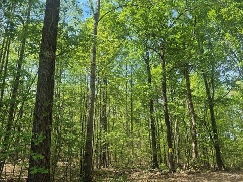 Tiny photo for 0 Greenfield Drive, Gladstone, VA 24553 (MLS # 365919)