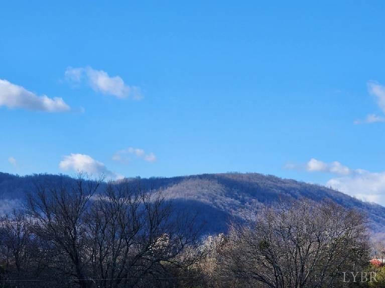2225 Irving Road, Thaxton, Virginia image 14