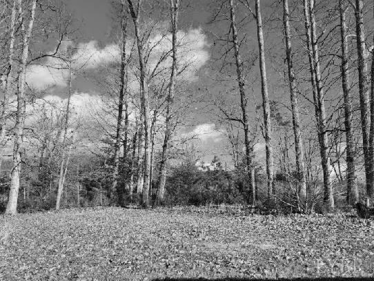 2225 Irving Road, Thaxton, Virginia image 17