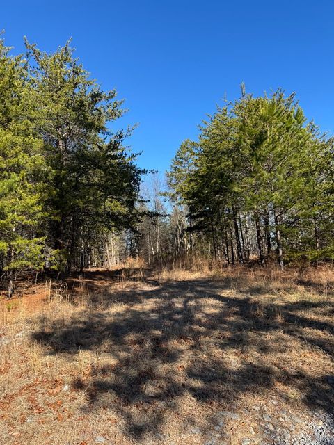 Tiny photo for 0 Easome Road, Hurt, VA 24563 (MLS # 363959)