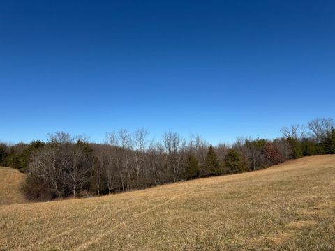 Tiny photo for 0 Easome Road, Hurt, VA 24563 (MLS # 363959)