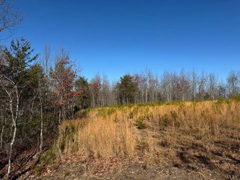 Tiny photo for 0 Easome Road, Hurt, VA 24563 (MLS # 363959)