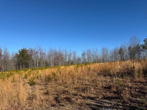 Tiny photo for 0 Easome Road, Hurt, VA 24563 (MLS # 363959)