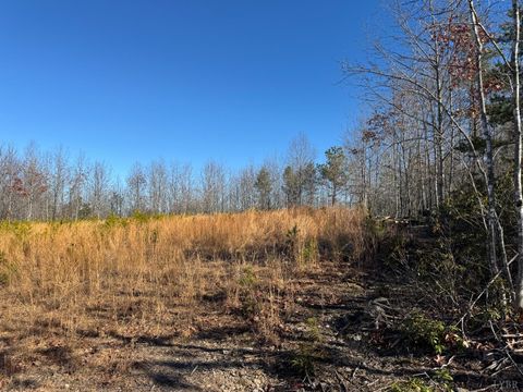 Tiny photo for 0 Easome Road, Hurt, VA 24563 (MLS # 363959)