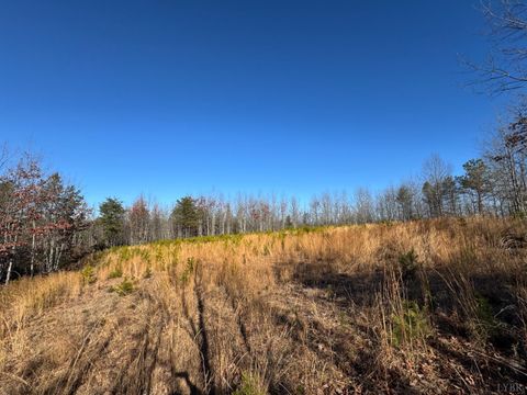 Tiny photo for 0 Easome Road, Hurt, VA 24563 (MLS # 363959)