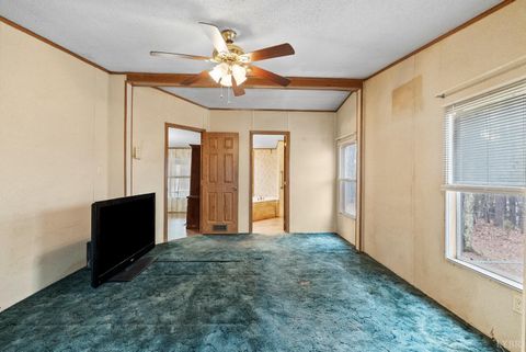 Tiny photo for 675 Pacoman Road, Evington, VA 24550 (MLS # 364754)