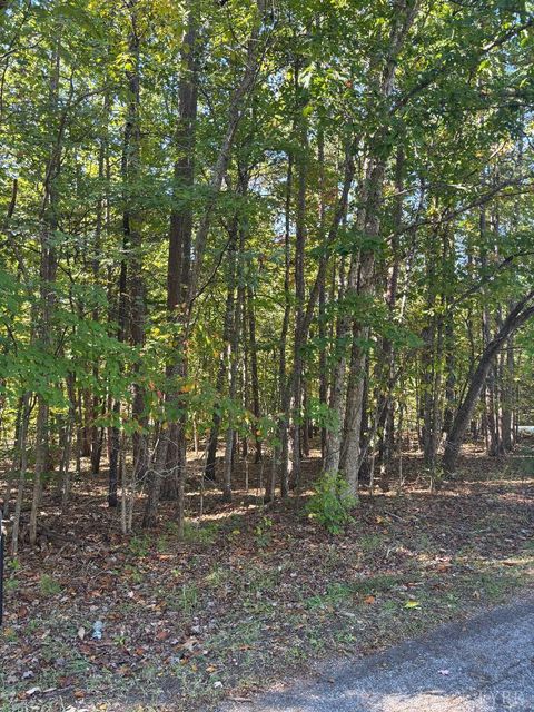 Photo of 0 Hawkins Road, Evington, VA 24550 (MLS # 362535)