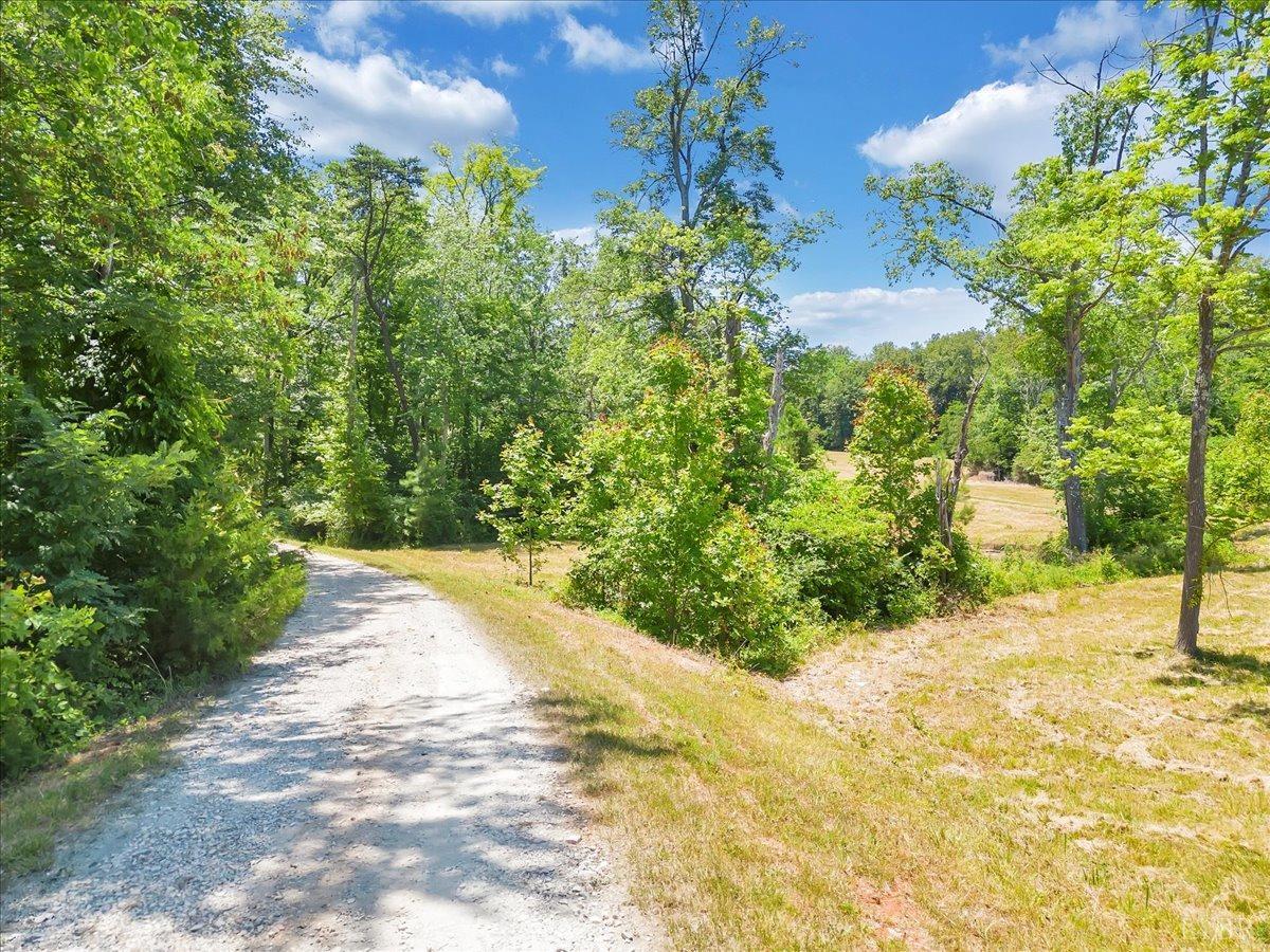 Appomattox, Virginia 24522, United States, 4 Bedrooms Bedrooms, ,4 BathroomsBathrooms,Residential,Pending,53295