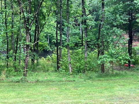 Tiny photo for 3101 Cody Road, Nathalie, VA 24577 (MLS # 366414)