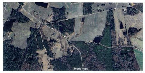 Tiny photo for 0 Sturgeon Road, Dolphin, VA 23843 (MLS # 362376)