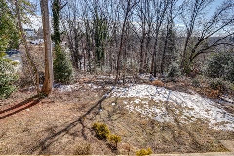 Tiny photo for 809 Byrd Street, Lynchburg, VA 24504 (MLS # 364442)