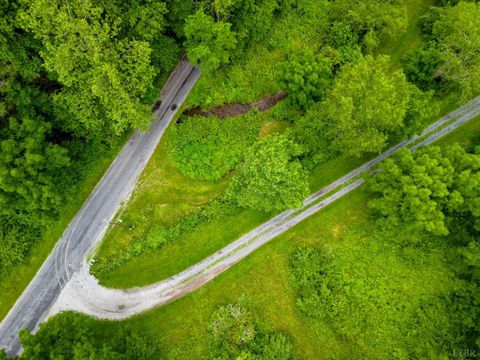 Tiny photo for 0 Pedlar River Road, Vesuvius, VA 24483 (MLS # 363663)