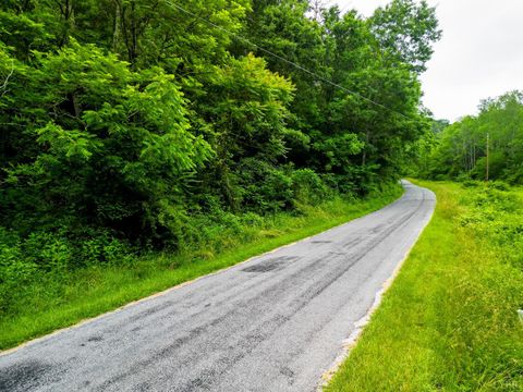 Tiny photo for 0 Pedlar River Road, Vesuvius, VA 24483 (MLS # 363663)