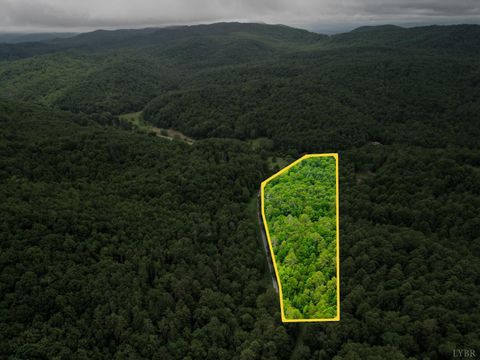 Tiny photo for 0 Pedlar River Road, Vesuvius, VA 24483 (MLS # 363663)
