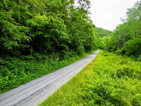 Tiny photo for 0 Pedlar River Road, Vesuvius, VA 24483 (MLS # 363663)