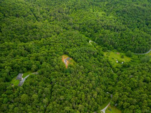 Tiny photo for 0 Pedlar River Road, Vesuvius, VA 24483 (MLS # 363663)