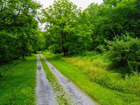 Tiny photo for 0 Pedlar River Road, Vesuvius, VA 24483 (MLS # 363663)