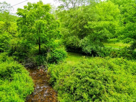 Tiny photo for 0 Pedlar River Road, Vesuvius, VA 24483 (MLS # 363663)