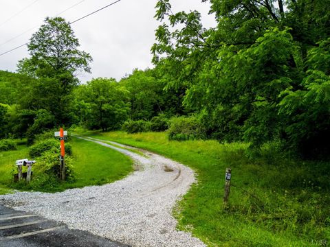 Tiny photo for 0 Pedlar River Road, Vesuvius, VA 24483 (MLS # 363663)