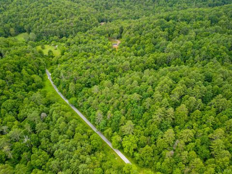 Tiny photo for 0 Pedlar River Road, Vesuvius, VA 24483 (MLS # 363663)