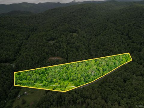 Tiny photo for 0 Pedlar River Road, Vesuvius, VA 24483 (MLS # 363663)