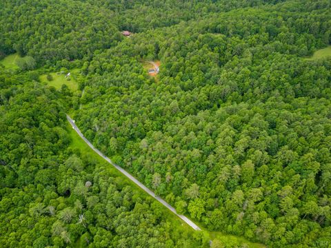 Tiny photo for 0 Pedlar River Road, Vesuvius, VA 24483 (MLS # 363663)