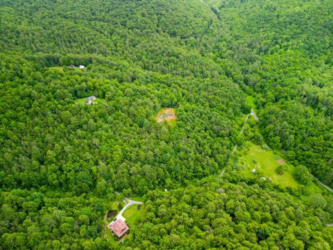 Tiny photo for 0 Pedlar River Road, Vesuvius, VA 24483 (MLS # 363663)