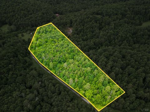 Tiny photo for 0 Pedlar River Road, Vesuvius, VA 24483 (MLS # 363663)