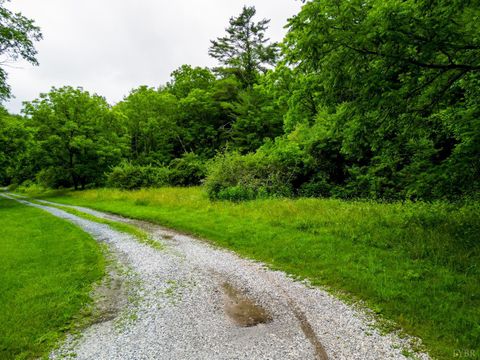 Tiny photo for 0 Pedlar River Road, Vesuvius, VA 24483 (MLS # 363663)