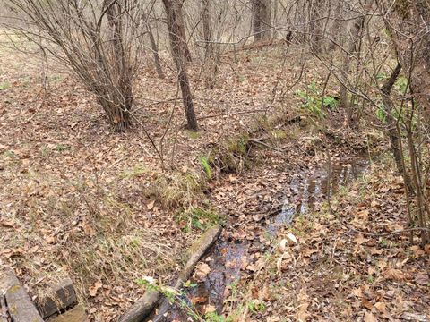 Tiny photo for 0 0 Maddox, Gladys, VA 24554 (MLS # 364514)