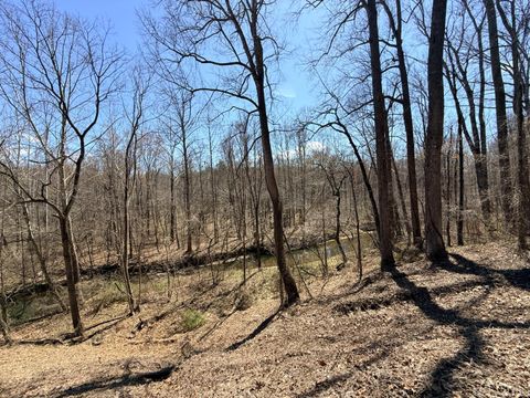 Tiny photo for 0 Country Club Road, Appomattox, VA 24522 (MLS # 365251)