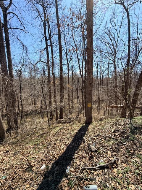Tiny photo for 0 Country Club Road, Appomattox, VA 24522 (MLS # 365251)