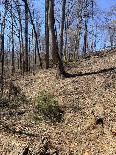 Photo of 0 Country Club Road, Appomattox, VA 24522 (MLS # 365251)