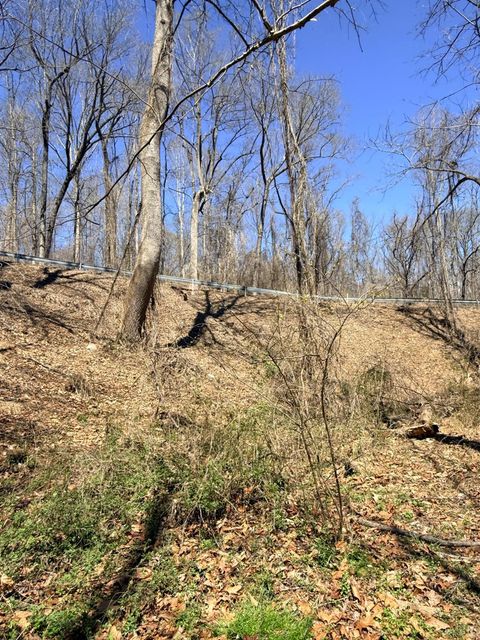 Tiny photo for 0 Country Club Road, Appomattox, VA 24522 (MLS # 365251)